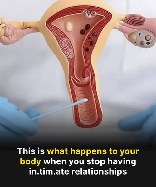 This is what happens to your body if you dont have sex!