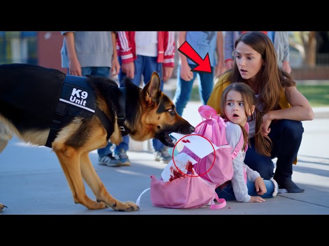 Unlikely Hero: A K9 Dog Uncovers a Child’s Hidden Cry for Help – What He Exposed Saved Dozens of Lives