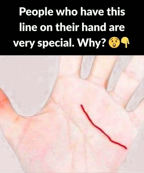 Unveiling the Secrets of Your Palm