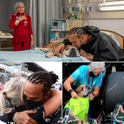 The Ultimate Goodbye – A Heartwarming Moment Shared Between Lewis Hamilton and Roscoe