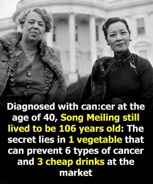 She Beat Cancer and Lived to 106 – The Secret of Song Meiling’s Longevity Revealed