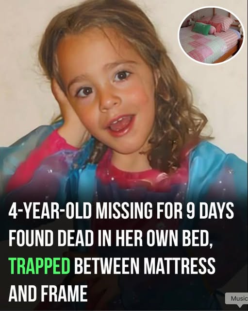 The Heartbreaking Mystery of Paulette Gebara Farah: The Little Girl Found in Her Own Bed