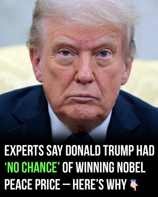 “Experts Say Donald Trump Had ‘No Chance’ of Winning the Nobel Peace Prize — Here’s Why ”
