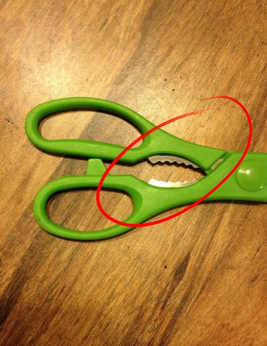 Those “Metal Teeth” on Your Kitchen Scissors Have a Purpose You Never Knew
