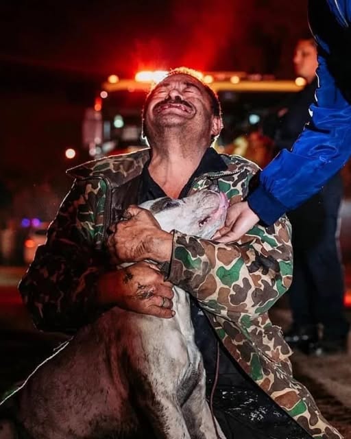 Through Smoke and Silence: Mario’s Fight to Save His Dog