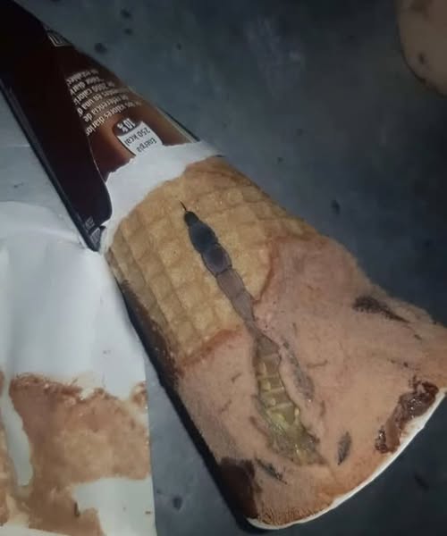 My daughter opened a package of chocolate ice cream and found something strange inside, we were surprised to realize what it was!