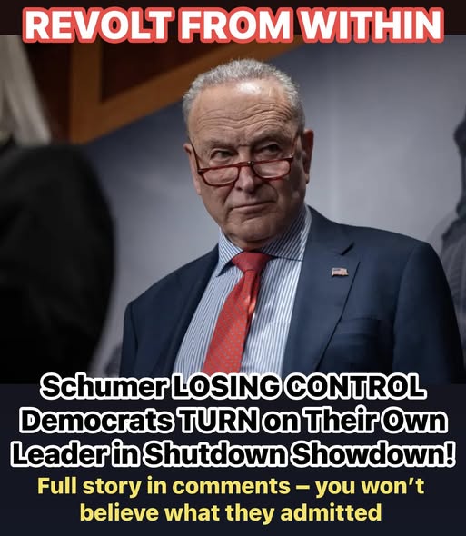 Revolt From Within: Schumer Faces Backlash as Democrats Clash Over Shutdown Crisis
