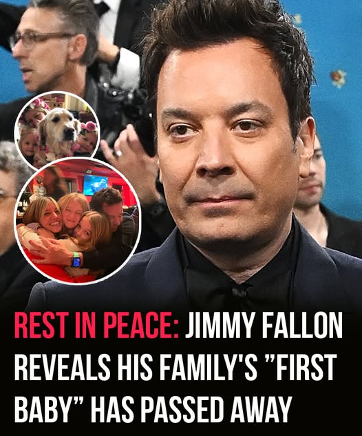 Jimmy Fallon reveals his familys first baby has passed away, Miss you so much