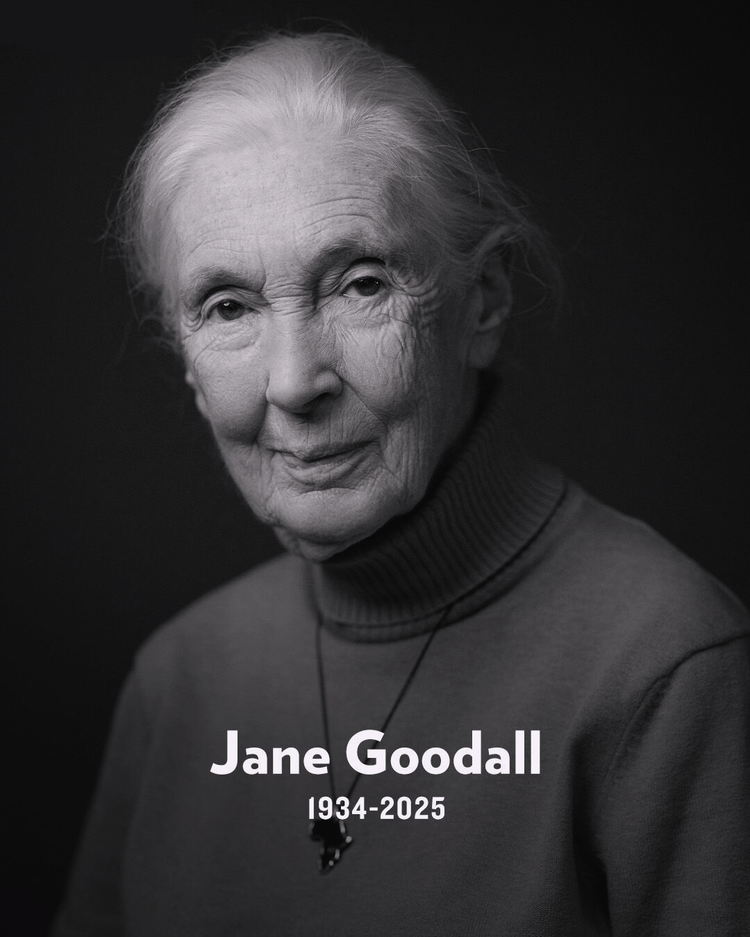 Jane Goodall Dies at 91: A Voice for Nature Falls Silent, but Her Legacy Roars On