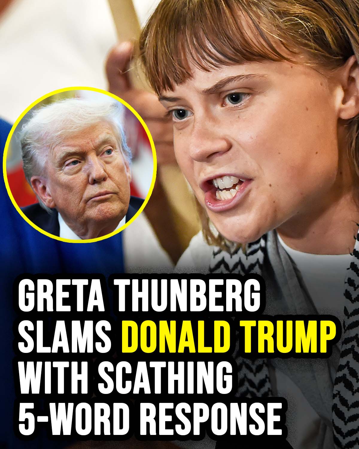 Greta Thunberg’s Sharp Comeback to Donald Trump: A Viral Exchange