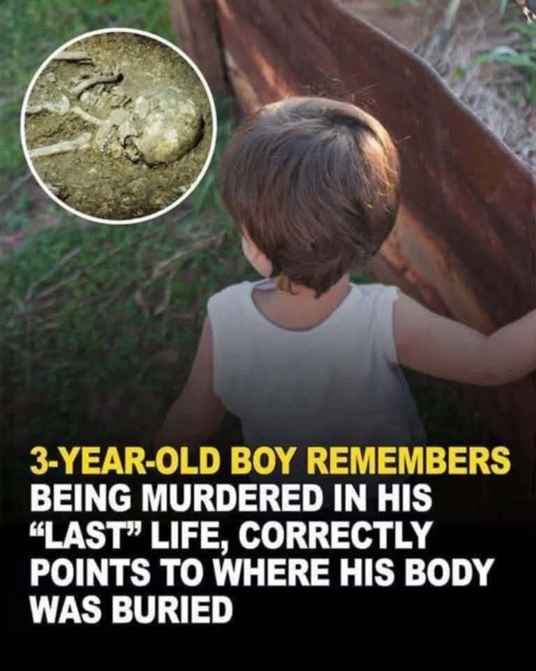 The Three-Year-Old Boy Who Claimed to Remember His Murder — and Proved It