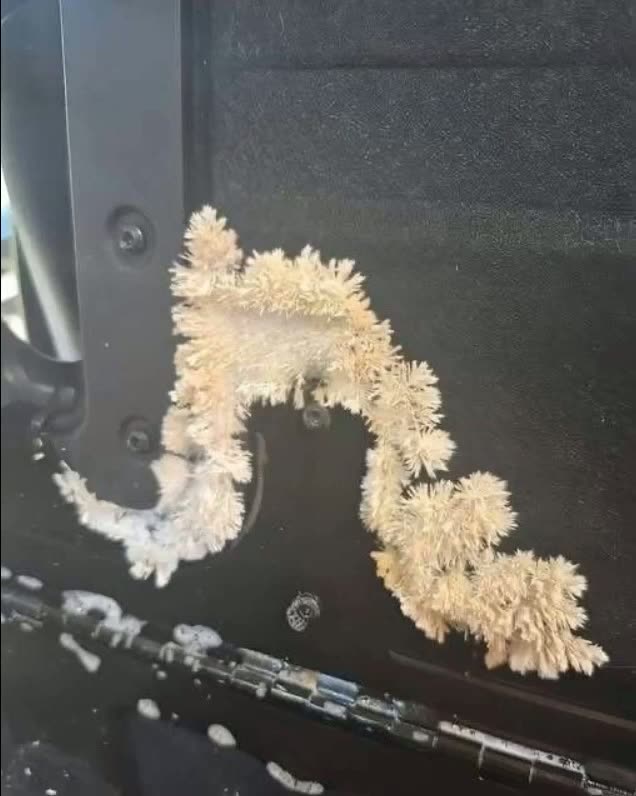 The Hidden Dangers Under Your Seat