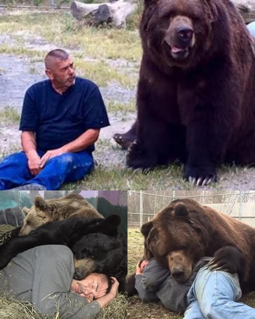 Jimmy the Bear — A Kind-Hearted Giant Who Loves Everyone