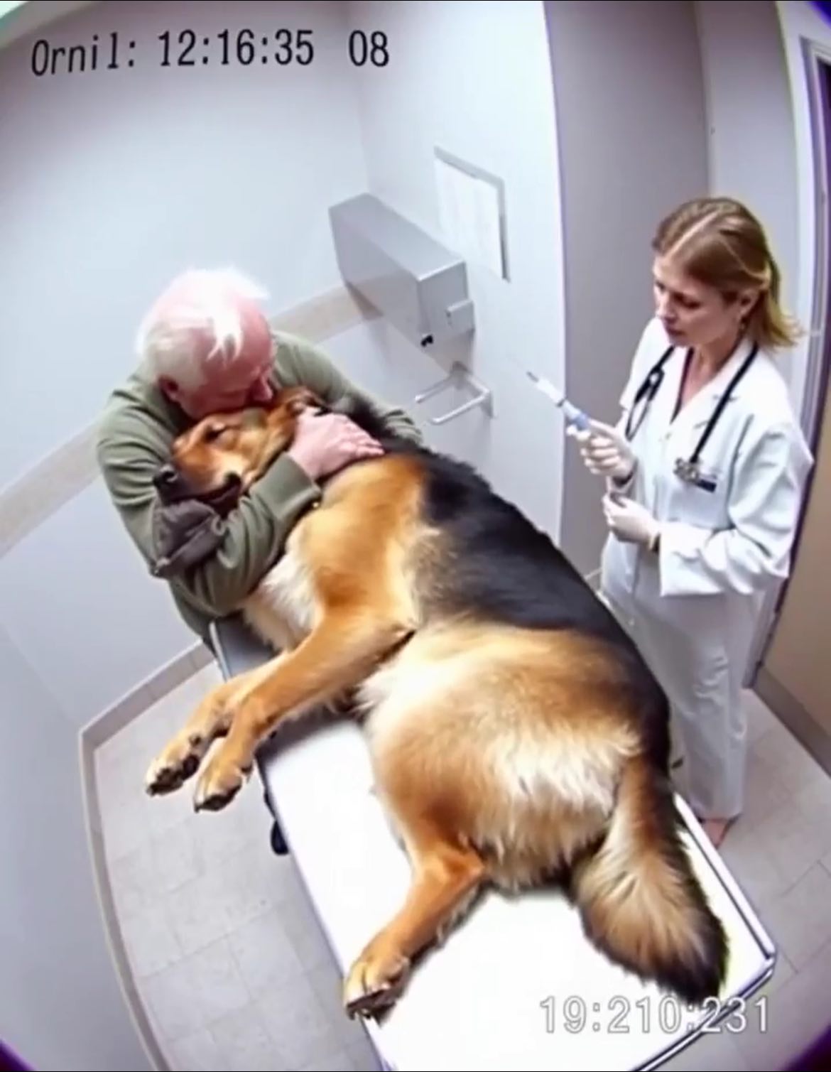 Leo’s Last Gift: The Dog Who Refused to Say Goodbye