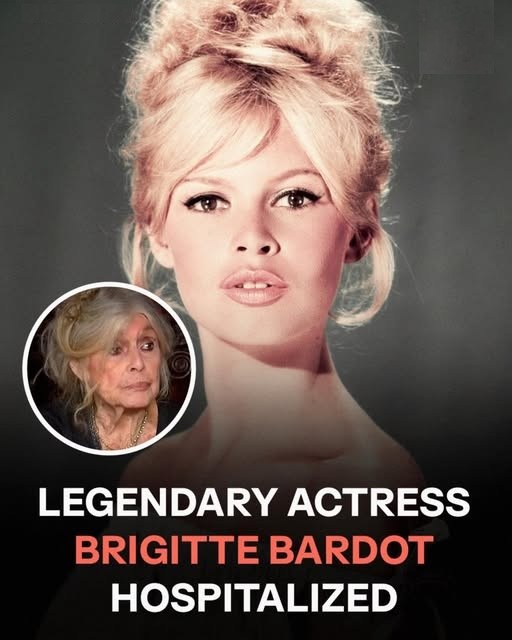 Brigitte Bardot Allegedly Taken to Hospital – Fans Worldwide Fear for the Legendary Icon