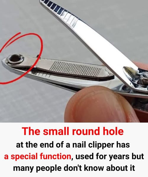 The Secret Power of the Small Round Hole on Your Nail Clipper