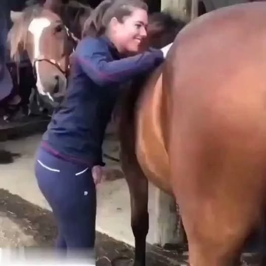 SOTD! Young woman was hospitalized after being pe! See more