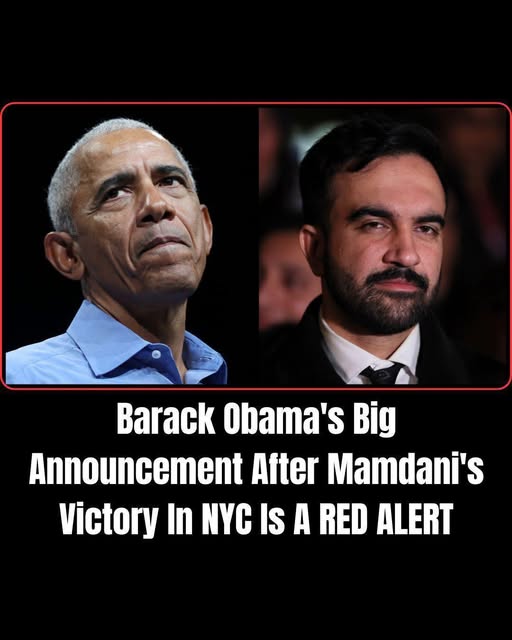 Obama Says Democrats Should Embrace Socialists As Part of Party’s Future Vision\