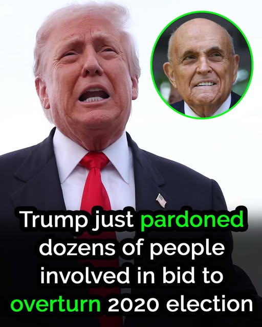Donald Trump has granted pardons to numerous individuals who took part in efforts to overturn the 2020 election.