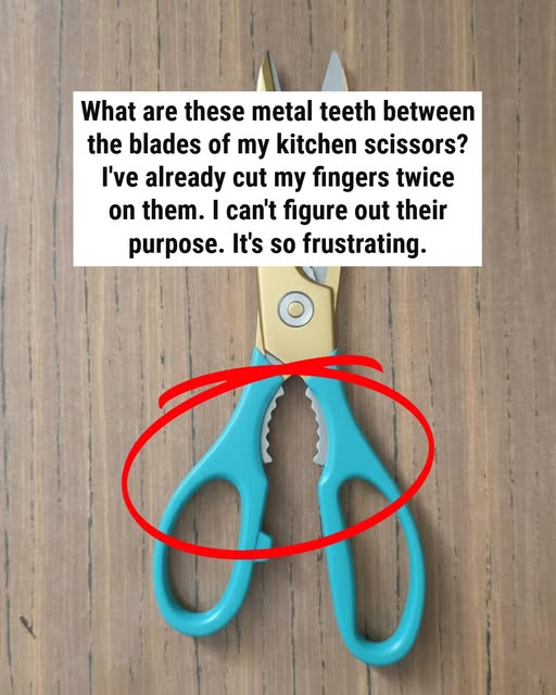What Is That Weird Toothed Part on Kitchen Scissors For?