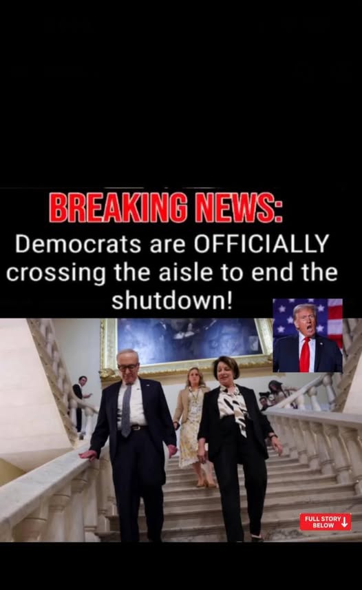 Senate Confirms Trumps Pick To Join Liberal-Majority US Appeals Court