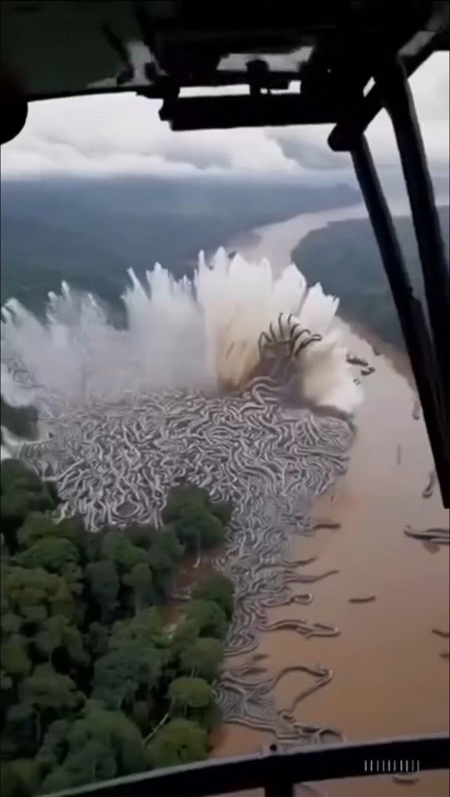 Unbelievable footage from the Amazon!