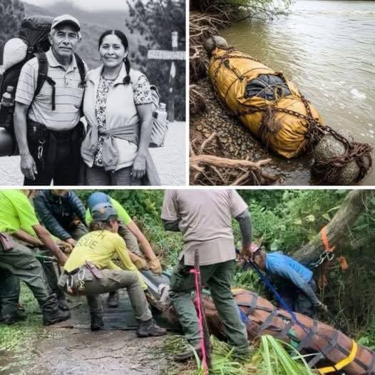 The Tampaón Secret: What The Flood Revealed Beneath The Roots