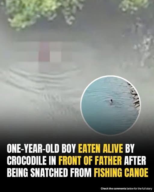 Community Warned To Avoid River After Infant Eaten Alive In Front Of Father!