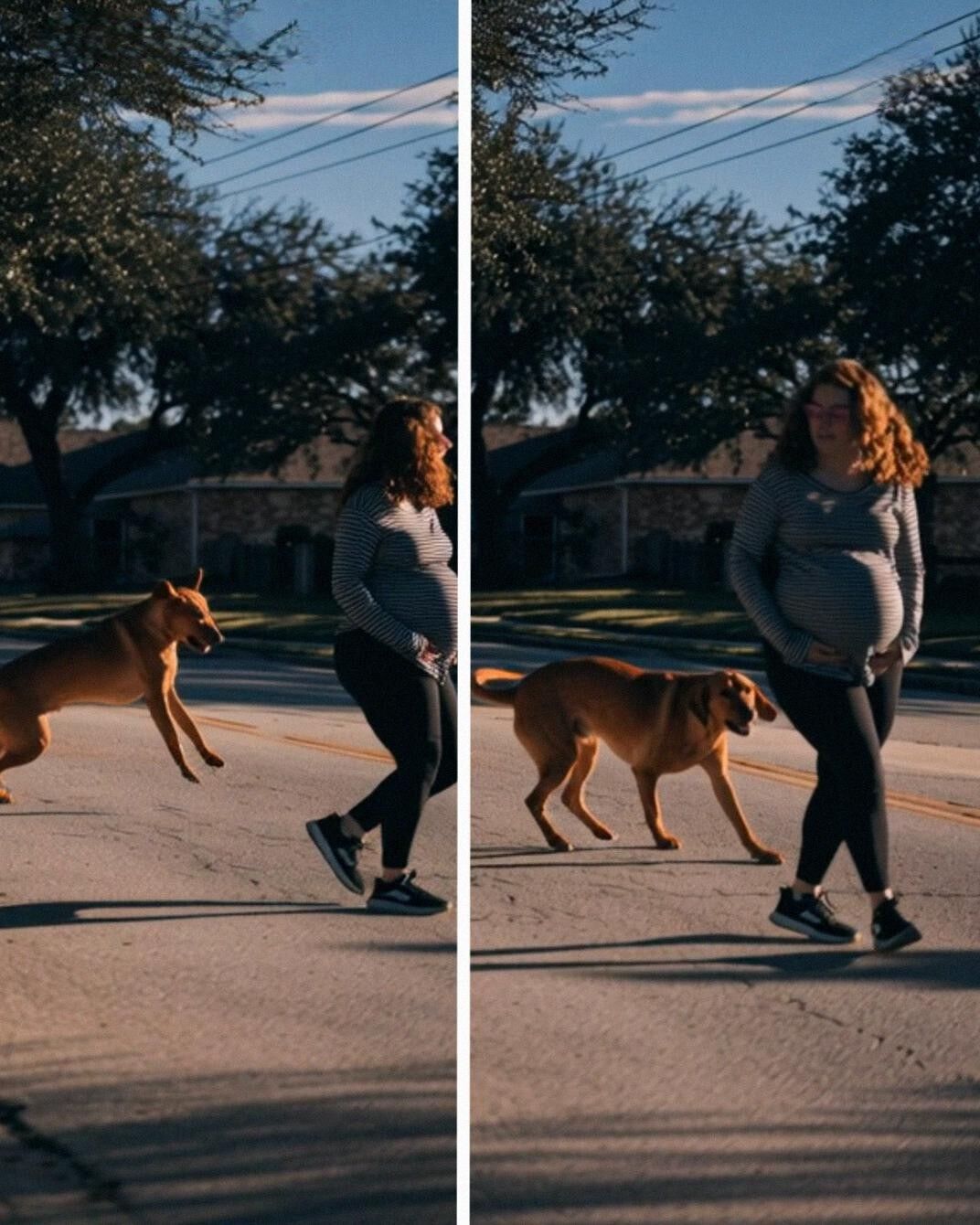 My Entitled Neighbor Hated My Dog, One Day, He Saved Her Life!