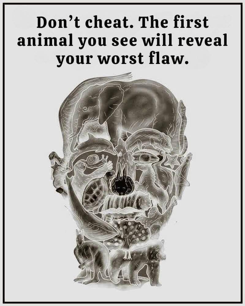 This visual test reveals your ‘worst flaw’ based on the first animal you see