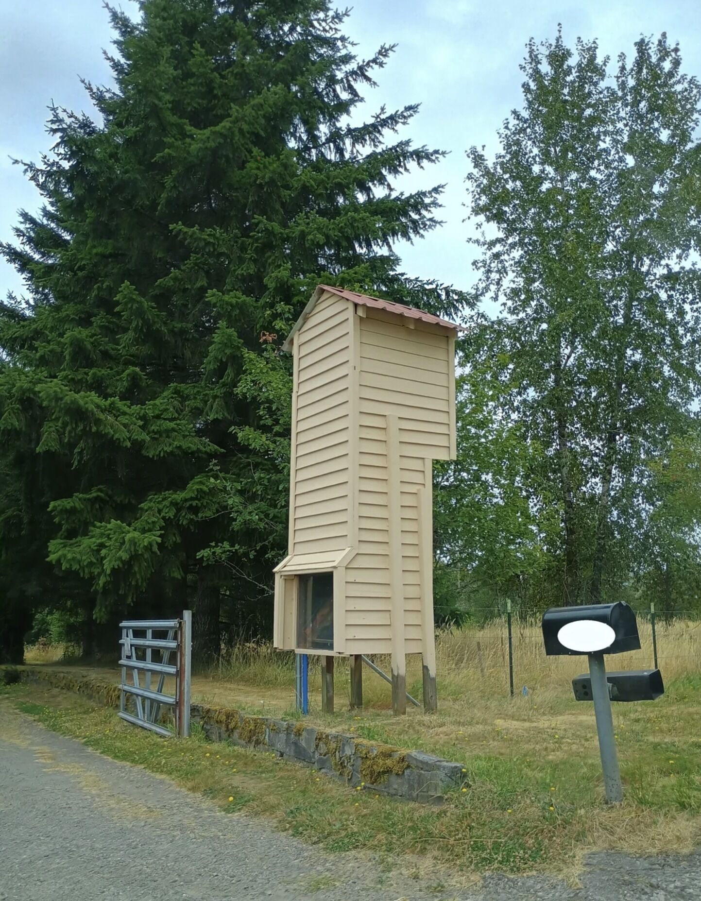 The Mysterious Tower in Oregon: How One Driveway Periscope Became a Symbol of Human Ingenuity