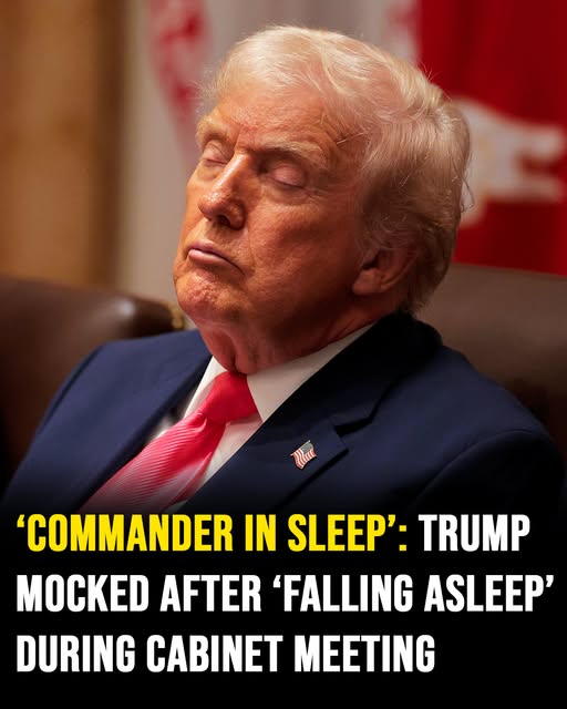 ‘Commander in Sleep’ Trends After Trump Appears to Fall Asleep at Cabinet Meeting