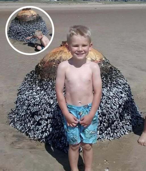 Dad Shares Innocent Photo Of His Son At Beach, Authorities Act Fast After Spotting Small Detail!