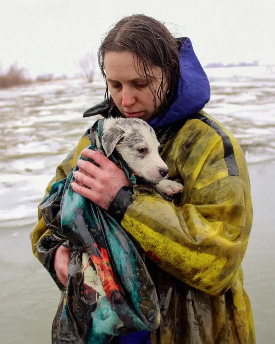 I Showed Up to Work Soaked After Saving a Drowning Puppy – My Boss Told Me to Get Lost, Then a Man Stepped in Front of Me