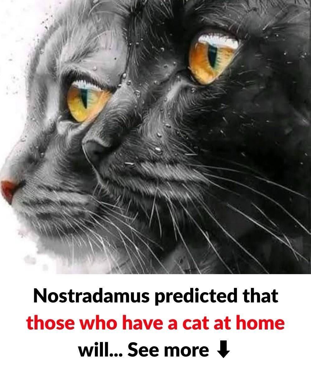 The Surprising Spiritual Meaning of Your Cat! Did Nostradamus Leave Us a Clue?